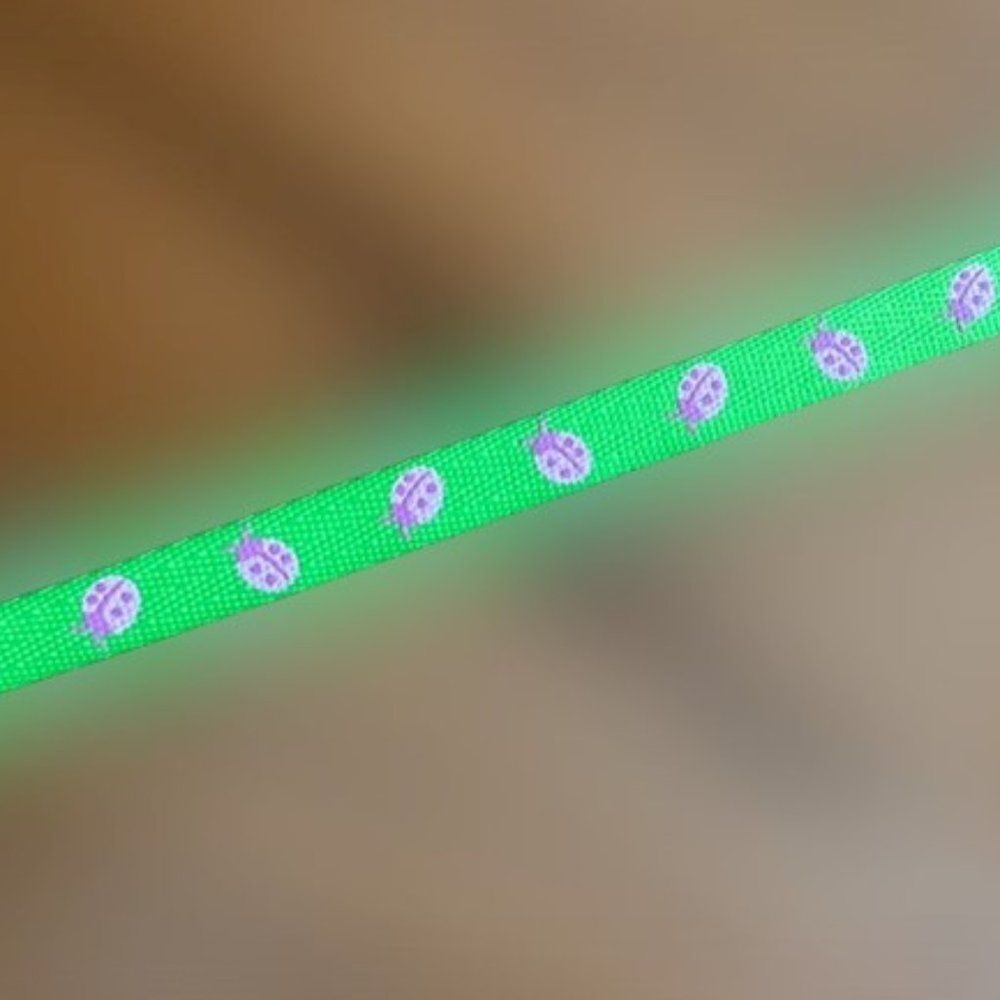 Green Polyester Ribbon with Pink Lady Bugs  ****ALL RIBBONS BUY 2 GET 1 FREE DEA